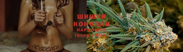 ПСИЛОЦИБИНОВЫЕ ГРИБЫ Приозерск