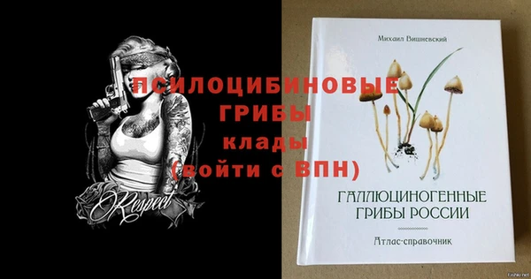 гидропоника Ростов