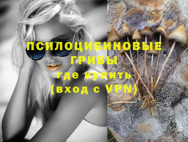 прущие грибы Пролетарск