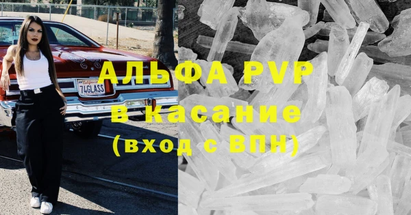 прущие грибы Пролетарск