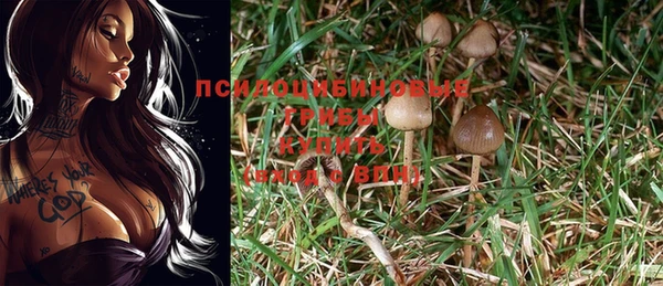 таблы Рославль
